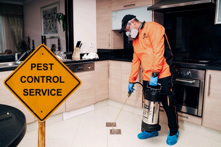 Pest Control Services in Sharjah